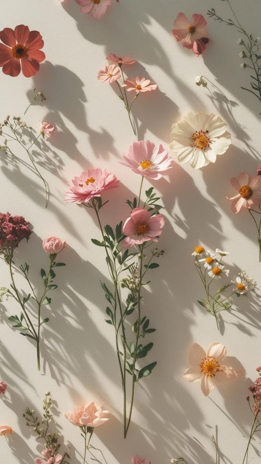 Isolè box mensile MARZO 🌺